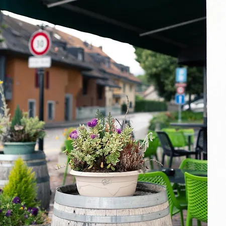 Restaurant La Croix Verte Hotel Vich