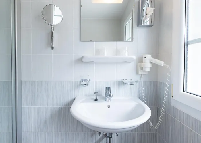 Hotel Restaurant La Croix Verte