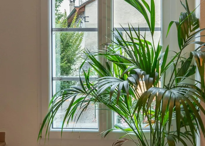 Restaurant La Croix Verte Hotel