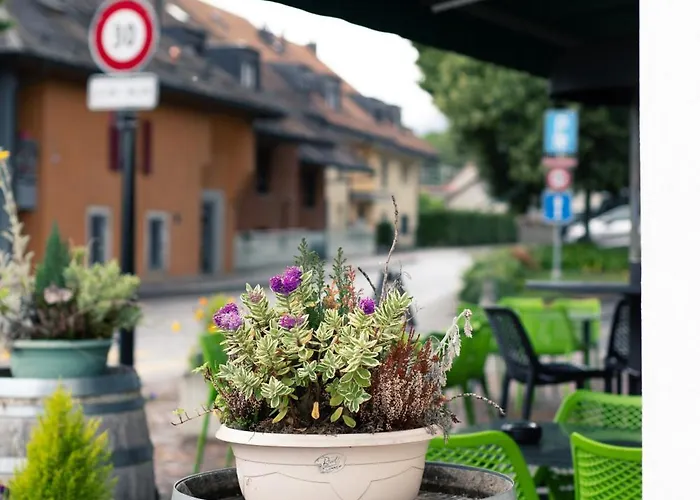 Restaurant La Croix Verte Hotel Vich